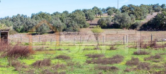 5 غرف نوم منزل في Alcacovas, Portugal رقم 134902 19