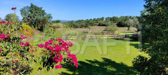 5 غرف نوم منزل في Alcacovas, Portugal رقم 134902 12