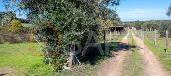 5 غرف نوم منزل في Alcacovas, Portugal رقم 134902 21