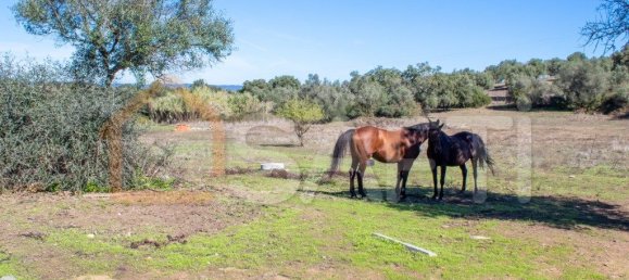 5 غرف نوم منزل في Alcacovas, Portugal رقم 134902 20