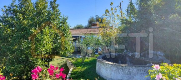 5 غرف نوم منزل في Alcacovas, Portugal رقم 134902 13