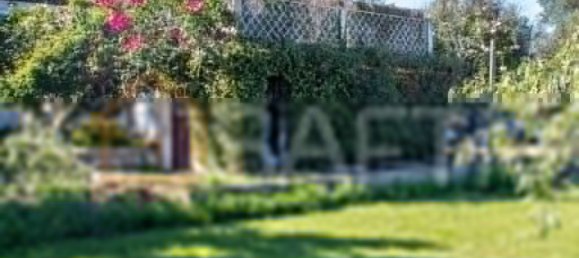 5 غرف نوم منزل في Alcacovas, Portugal رقم 134902 14