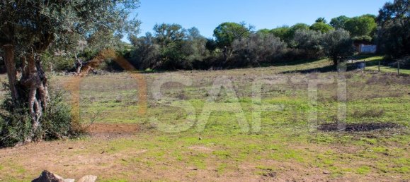 5 غرف نوم منزل في Alcacovas, Portugal رقم 134902 3