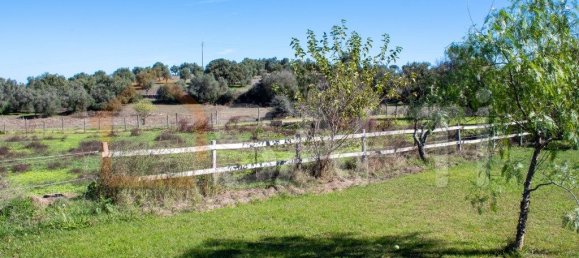 5 غرف نوم منزل في Alcacovas, Portugal رقم 134902 29