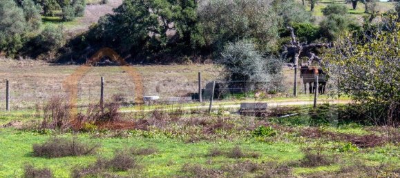 5 غرف نوم منزل في Alcacovas, Portugal رقم 134902 30