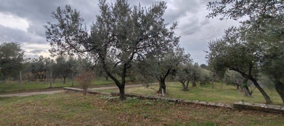 4 rooms Villa in Viterbo, Italy No. 106735 31