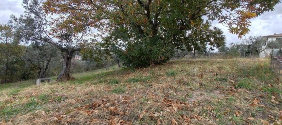 4 rooms Villa in Viterbo, Italy No. 106735 20