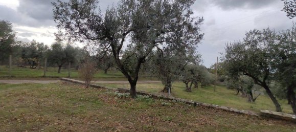 4 rooms Villa in Viterbo, Italy No. 106735 14