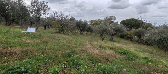 4 rooms Villa in Viterbo, Italy No. 106735 25