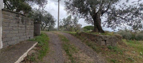 4 rooms Villa in Viterbo, Italy No. 106735 18