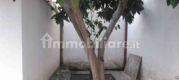 Studio in Comiso, Italy No. 350801 6