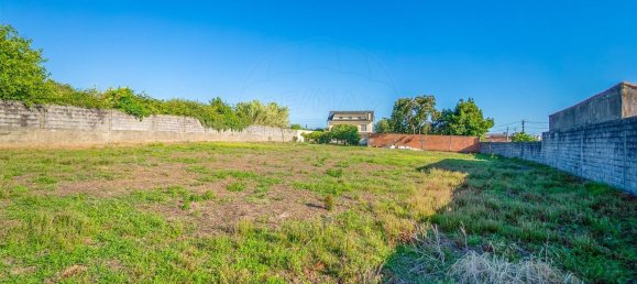 4 غرف نوم منزل في Esmoriz, Portugal رقم 49433 14