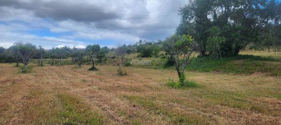 Земельный участок 18440м² в Келфеш, Португалия № 154334 18