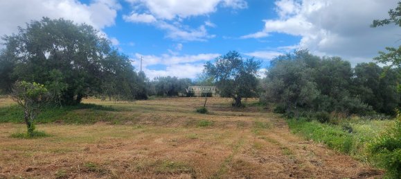 Земельный участок 18440м² в Келфеш, Португалия № 154334 24