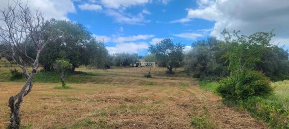 Земельный участок 18440м² в Келфеш, Португалия № 154334 23