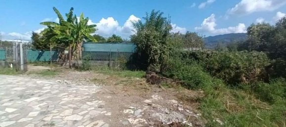 3 rooms Apartment in Sarzana, Italy No. 265191 3