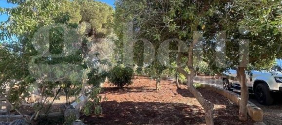 3-salle Villa à Ostuni, Italy No. 339387 6