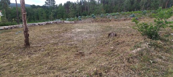 978m² Land in Mortagua, Portugal No. 44171 9