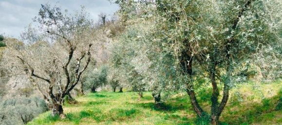 3800m² Land in Marone, Italy No. 278142 6