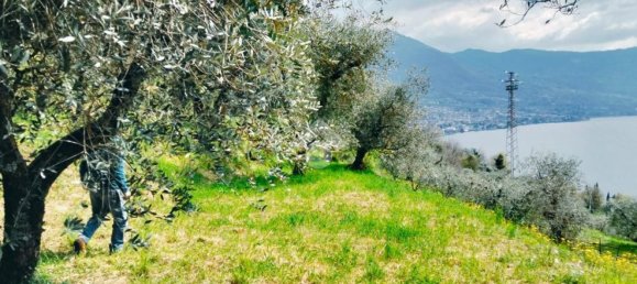 3800m² Land in Marone, Italy No. 278142 3