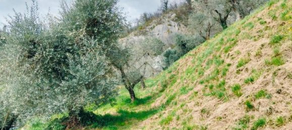 3800m² Land in Marone, Italy No. 278142 12