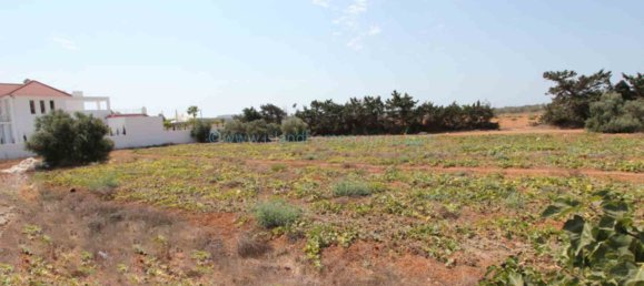 5 chambres Maison à Ayia Napa, Cyprus No. 23825 22