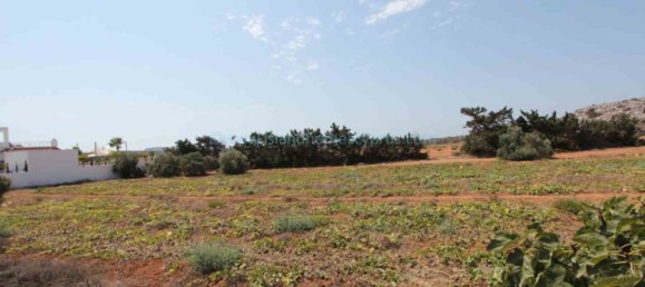 5 chambres Maison à Ayia Napa, Cyprus No. 23825 21