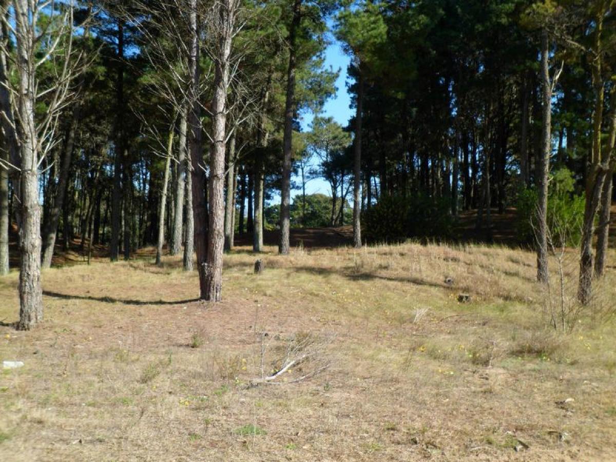 Grundstück in Mar del Plata, Argentina, Nr. 113618