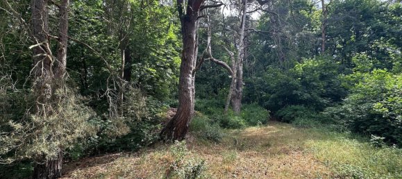 2غرفة منزل في Dahme-Spreewald, Germany رقم 336774 10