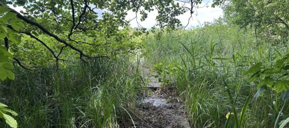 2غرفة منزل في Dahme-Spreewald, Germany رقم 336774 8