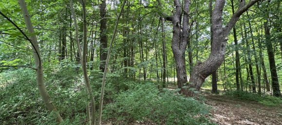 2غرفة منزل في Dahme-Spreewald, Germany رقم 336774 11