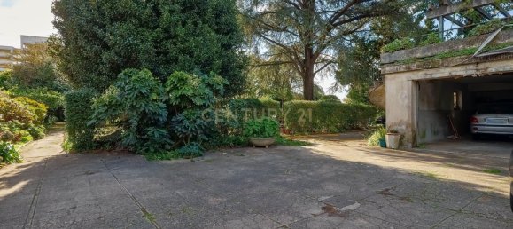 6 bedrooms Villa in Porto, Portugal No. 123558 22