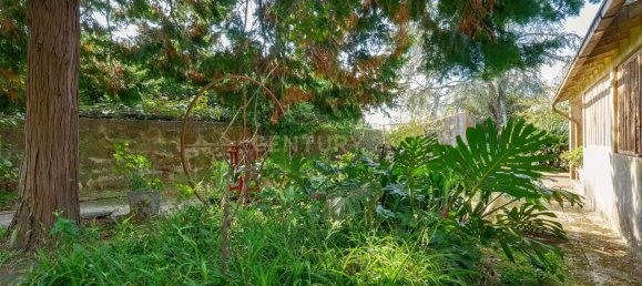 6 bedrooms Villa in Porto, Portugal No. 123558 25