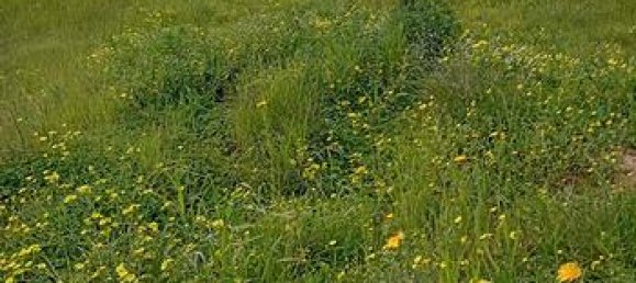 Terrain à Uta, Italy 846m² No. 251942 3