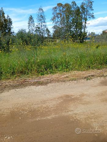 Terrain à Uta, Italy 846m² No. 251942