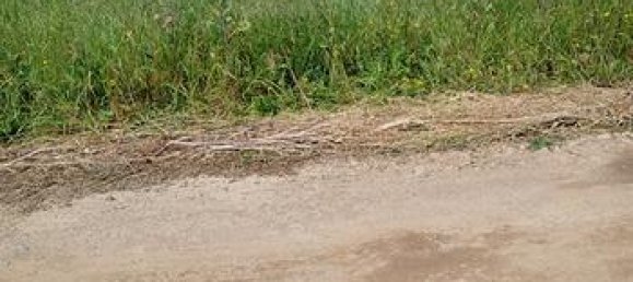 Terrain à Uta, Italy 846m² No. 251942 2