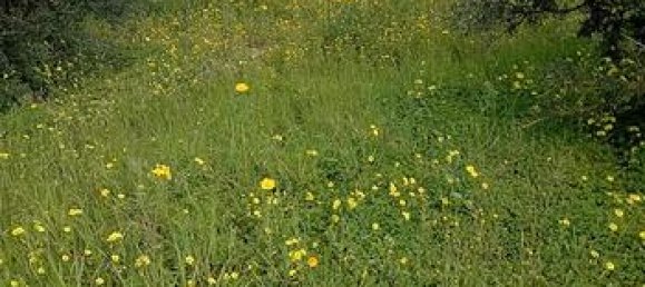 Terrain à Uta, Italy 846m² No. 251942 4