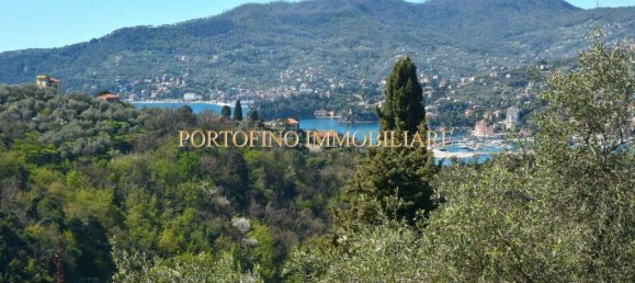 4 rooms Villa in Zoagli, Italy No. 36219 5