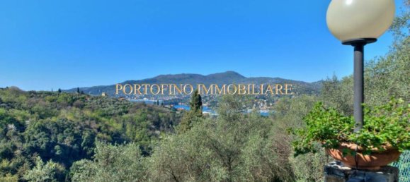 4 rooms Villa in Zoagli, Italy No. 36219 6