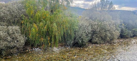 2 Schlafzimmer Haus in Vale de Amoreira, Portugal, Nr. 20367 2