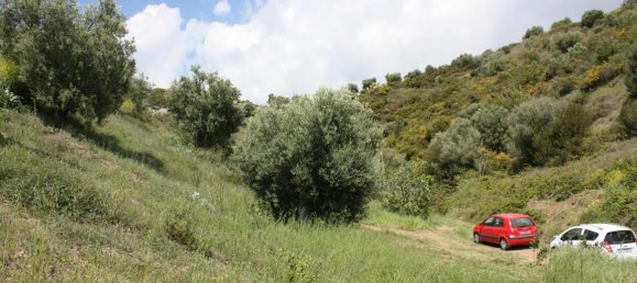 23000m² Hotel in Chalkidiki, Greece No. 6364 19