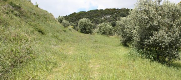 23000m² Hotel in Chalkidiki, Greece No. 6364 6