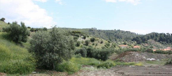 23000m² Hotel in Chalkidiki, Greece No. 6364 15