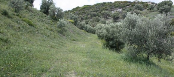 23000m² Hotel in Chalkidiki, Greece No. 6364 9