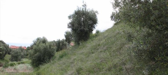 23000m² Hotel in Chalkidiki, Greece No. 6364 5