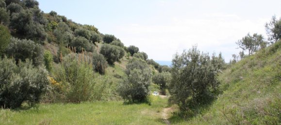 23000m² Hotel in Chalkidiki, Greece No. 6364 8