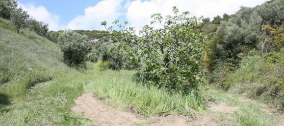 23000m² Hotel in Chalkidiki, Greece No. 6364 21