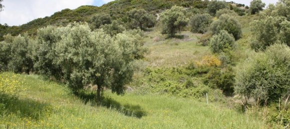 23000m² Hotel in Chalkidiki, Greece No. 6364 11