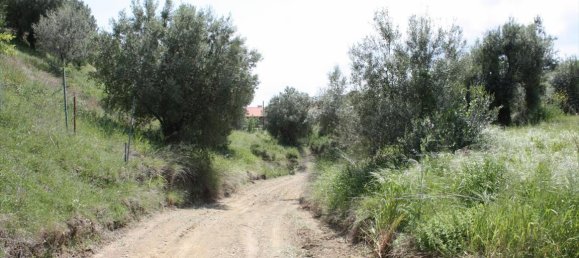 23000m² Hotel in Chalkidiki, Greece No. 6364 20