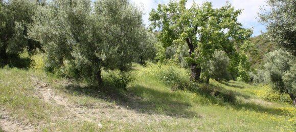 23000m² Hotel in Chalkidiki, Greece No. 6364 12